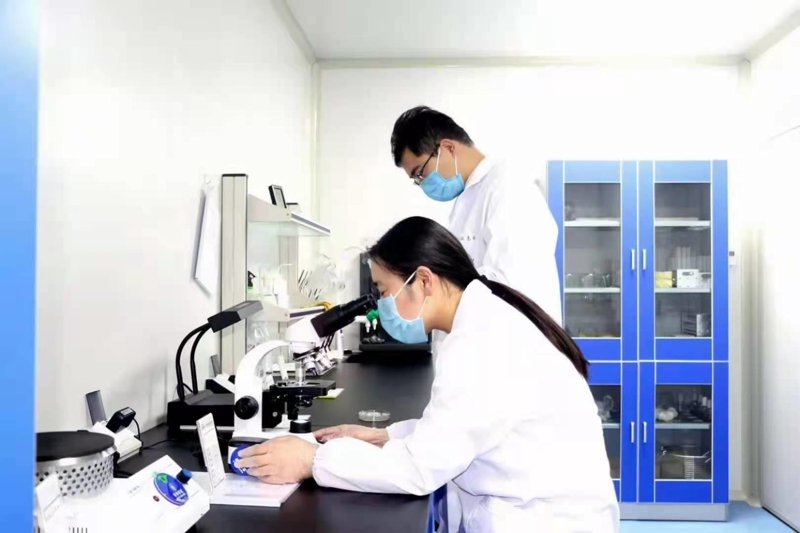 卫生执法大队的职责范围是什么?让我们一起走进大理卫生监督信息网,了解这些专业人员的具体任务。
