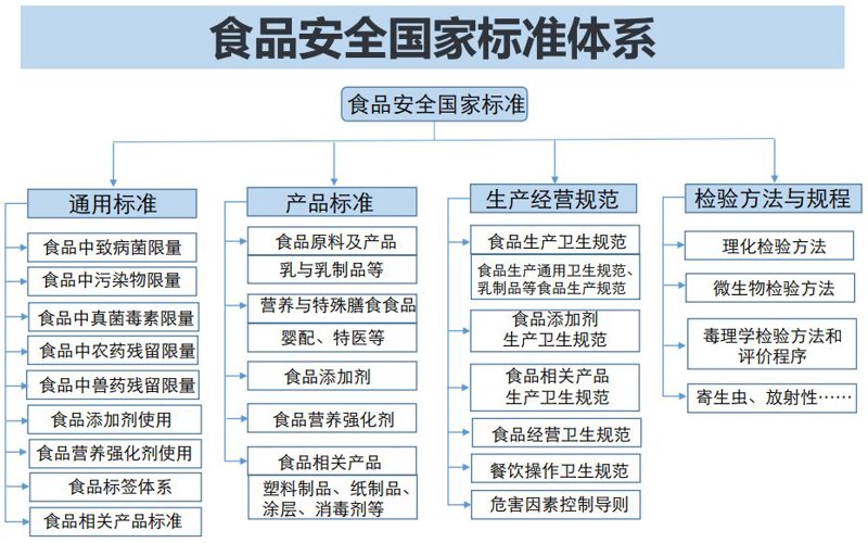健康服务与管理就业前景如何?让我们一起探索。